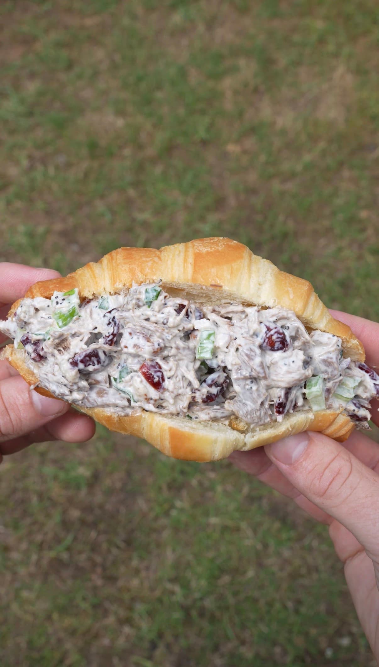 Wild Turkey Salad